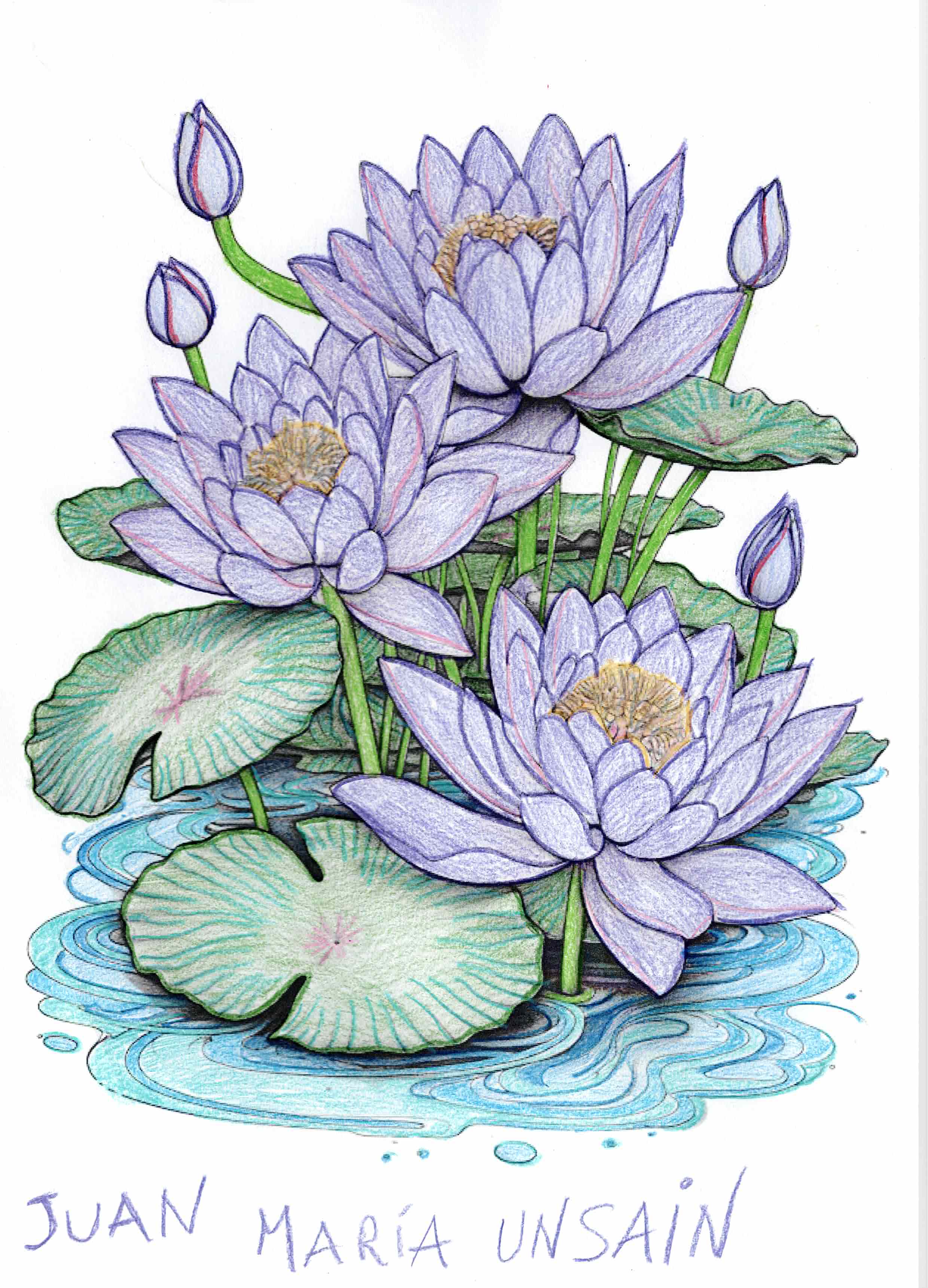 Artwork by Juan María Unsain